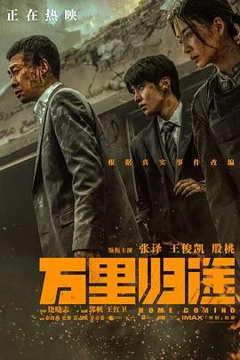 大侠复仇记